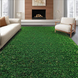 Ultra Soft Area Rug, Non Slip, Stain Resistant, Washable Area Rugs for Living Room, Bedroom, Serene Nature-Inspired Green Palette(Green)