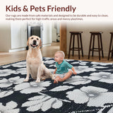 Ultra Soft Area Rug, Non Slip, Stain Resistant, Washable Area Rugs for Living Room, Bedroom, Farmhouse Grey Patio Rug for Pool Decks(Black)