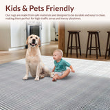 Ultra Soft Area Rug, Non Slip, Stain Resistant, Washable Area Rugs for Living Room, Bedroom, Luxurious Silver-Toned Design Elements(Gray)