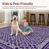 Ultra Soft Area Rug, Non Slip, Stain Resistant, Washable Area Rugs for Living Room, Bedroom, Unique Trellis-Inspired Color Palette(Purple)
