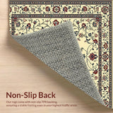 Astra Machine Traditional Beige Easy Clean Non Shedding Area(Beige)