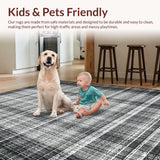 Ultra Soft Area Rug, Non Slip, Stain Resistant, Washable Area Rugs for Living Room, Bedroom, Artistic Striped Carpet for Entry and Outdoor Space(Gray)