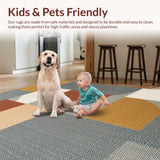 Ultra Soft Area Rug, Non Slip, Stain Resistant, Washable Area Rugs for Living Room, Bedroom, Modern Thin Area Rug for Dining Table Decor(Gray)