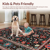 Ultra Soft Area Rug, Non Slip, Stain Resistant, Washable Area Rugs for Living Room, Bedroom, Modern Abstract Geometric Aesthetic(Black)