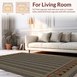 Ultra Soft Area Rug, Non Slip, Stain Resistant, Washable Area Rugs for Living Room, Bedroom, Sleek Modern Abstract Artistry(Gray)