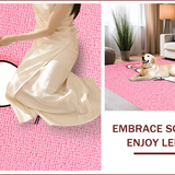 Ultra Soft Area Rug, Non Slip, Stain Resistant, Washable Area Rugs for Living Room, Bedroom, Irregular Tufted Cat Shaped Area Rug Decor(Pink)