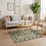 Traditional Persian Cream Persian Floral Medallion Area Rug