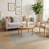 Beige Tan Plaid Geometric Area Rug