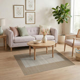 Beige Woven Area Rug with Ivory Striped Inset