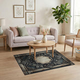 Ornate Distressed Grey Baroque Frame Area Rug