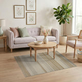 Beige Neutral Horizontal Stripe Area Rug