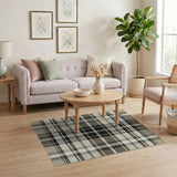Neutral Beige Plaid Area Rug