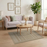 Brown and Tan Tan Grid Woven Area Rug
