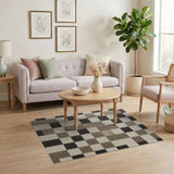 Beige Neutral Geometric Checkered Area Rug