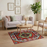 Multi-color and Patterns Red Persian Medallion Area Rug
