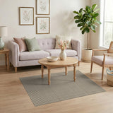 Beige Gingham Check Beige and Neutral Area Rug