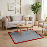 Textured Grey Area Rug with Red Border