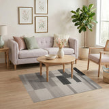 Modern Geometric Striped Area Rug in Black White