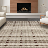 Ultra Soft Area Rug, Non Slip, Stain Resistant, Washable Area Rugs for Living Room, Bedroom, Rustic Minimalist Flatweave Style(Beige)