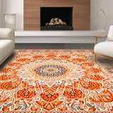 Ultra Soft Area Rug, Non Slip, Stain Resistant, Washable Area Rugs for Living Room, Bedroom, Stylish Whimsical Fringe Accents(Orange)