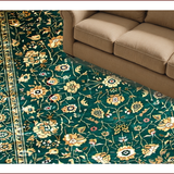 Ultra Soft Area Rug, Non Slip, Stain Resistant, Washable Area Rugs for Living Room, Bedroom, Faded Floral Vintage Aesthetic(Green)