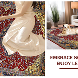Ultra Soft Area Rug, Non Slip, Stain Resistant, Washable Area Rugs for Living Room, Bedroom, Luxurious Traditional Medallion Aesthetic(Red)