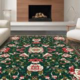 Ultra Soft Area Rug, Non Slip, Stain Resistant, Washable Area Rugs for Living Room, Bedroom, Chic Soft Low Pile Design(Green)