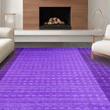 Ultra Soft Area Rug, Non Slip, Stain Resistant, Washable Area Rugs for Living Room, Bedroom, Trendy Soft Modern Viscosity(Purple)