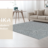 Ultra Soft Area Rug, Non Slip, Stain Resistant, Washable Area Rugs for Living Room, Bedroom, Western Aesthetic Throw Rug(Gray)