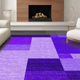 Ultra Soft Area Rug, Non Slip, Stain Resistant, Washable Area Rugs for Living Room, Bedroom, Vibrant Soft Furry Home Accent(Purple)