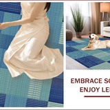 Ultra Soft Area Rug, Non Slip, Stain Resistant, Washable Area Rugs for Living Room, Bedroom, Vintage Tibetan Tiger(Blue)