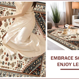 Ultra Soft Area Rug, Non Slip, Stain Resistant, Washable Area Rugs for Living Room, Bedroom, Boho Non-Shedding Living Room Rug(White)