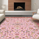 Ultra Soft Area Rug, Non Slip, Stain Resistant, Washable Area Rugs for Living Room, Bedroom, Luxurious Beige Ornamental Borders(Pink)