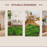 Ultra Soft Area Rug, Non Slip, Stain Resistant, Washable Area Rugs for Living Room, Bedroom, Boho Leaf Shaggy(Green)