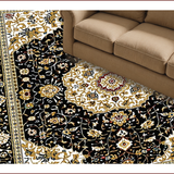 Ultra Soft Area Rug, Non Slip, Stain Resistant, Washable Area Rugs for Living Room, Bedroom, Luxurious Earth Tone Ornate Patterns(Black)