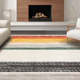 Ultra Soft Area Rug, Non Slip, Stain Resistant, Washable Area Rugs for Living Room, Bedroom, Contemporary Multicolor Tassel Accent(Orange)