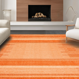 Ultra Soft Area Rug, Non Slip, Stain Resistant, Washable Area Rugs for Living Room, Bedroom, Warm Earthy Terracotta Shag(Orange)