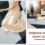 Ultra Soft Area Rug, Non Slip, Stain Resistant, Washable Area Rugs for Living Room, Bedroom, Contemporary Area Rug with Easy Care for Family Spaces(Black)