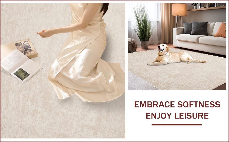 Ultra Soft Area Rug, Non Slip, Stain Resistant, Washable Area Rugs for Living Room, Bedroom, Contemporary Beige Boho Living Room Rug(Beige) - ODIKA