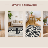 Ultra Soft Area Rug, Non Slip, Stain Resistant, Washable Area Rugs for Living Room, Bedroom, Contemporary Black and Ivory Fusion(Black)