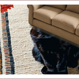 Ultra Soft Area Rug, Non Slip, Stain Resistant, Washable Area Rugs for Living Room, Bedroom, cute cat bathroom mat(Black)