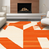 Ultra Soft Area Rug, Non Slip, Stain Resistant, Washable Area Rugs for Living Room, Bedroom, Luxe Fluffy Orange Statement Piece(Orange)