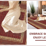 Ultra Soft Area Rug, Non Slip, Stain Resistant, Washable Area Rugs for Living Room, Bedroom, Charming Multicolor Patterned Textiles(Red)