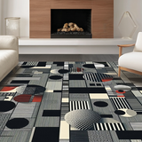 Ultra Soft Area Rug, Non Slip, Stain Resistant, Washable Area Rugs for Living Room, Bedroom, Artistic Black and White Zebra Theme(Gray)