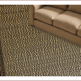 Ultra Soft Area Rug, Non Slip, Stain Resistant, Washable Area Rugs for Living Room, Bedroom, Western Leopard Print Non-Slip Bedroom Rug(Brown)