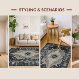 Ultra Soft Area Rug, Non Slip, Stain Resistant, Washable Area Rugs for Living Room, Bedroom, Elegant Ombre Cosmic Design(Gray)