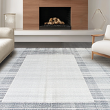 Ultra Soft Area Rug, Non Slip, Stain Resistant, Washable Area Rugs for Living Room, Bedroom, Cozy Plush Pet-Friendly Appeal(Gray)
