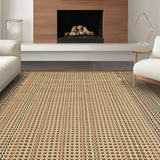 Ultra Soft Area Rug, Non Slip, Stain Resistant, Washable Area Rugs for Living Room, Bedroom, Cozy Rustic Western Decor Element(Beige)
