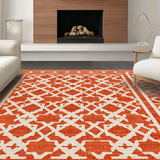 Ultra Soft Area Rug, Non Slip, Stain Resistant, Washable Area Rugs for Living Room, Bedroom, Sophisticated Textural Layered Design(Orange)