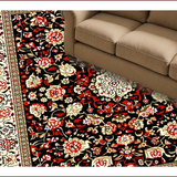 Ultra Soft Area Rug, Non Slip, Stain Resistant, Washable Area Rugs for Living Room, Bedroom, Brown Cream French-Style Bedroom Plush Medallion Carpet(Black)